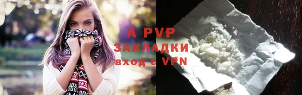 дживик Шадринск