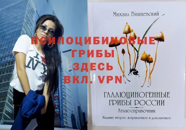дживик Шадринск
