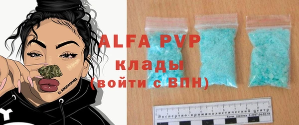 стаф Чердынь