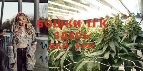 дживик Шадринск