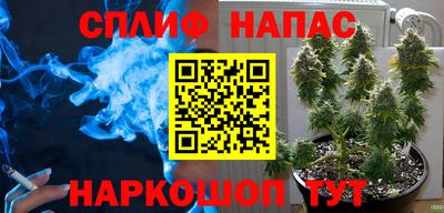 сатива Апрелевка