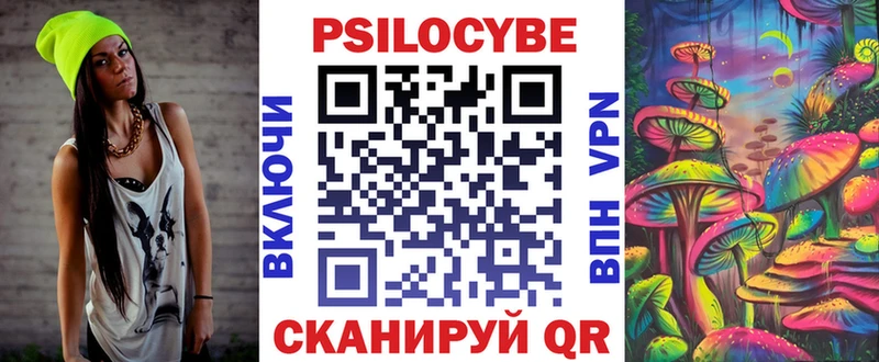 Псилоцибиновые грибы Psilocybe  маркетплейс какой сайт  Аргун  наркотики 