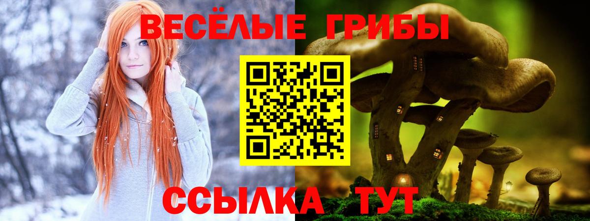 Аргун  Галлюциногенные грибы GOLDEN TEACHER  Вход с VPN 